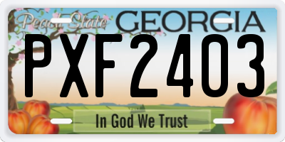 GA license plate PXF2403