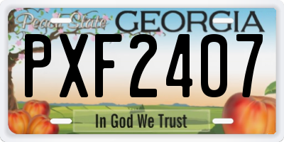 GA license plate PXF2407