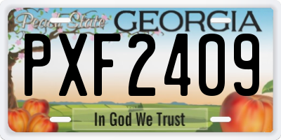 GA license plate PXF2409