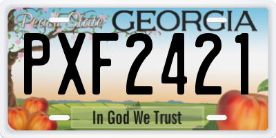 GA license plate PXF2421
