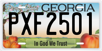 GA license plate PXF2501