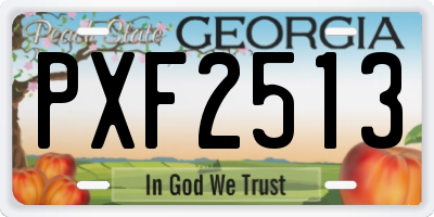 GA license plate PXF2513