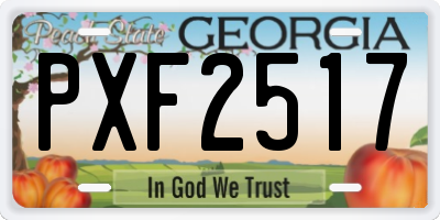 GA license plate PXF2517