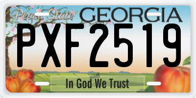 GA license plate PXF2519
