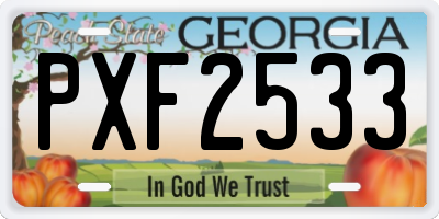 GA license plate PXF2533
