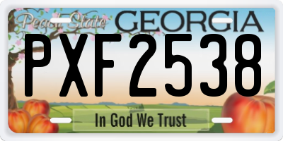 GA license plate PXF2538