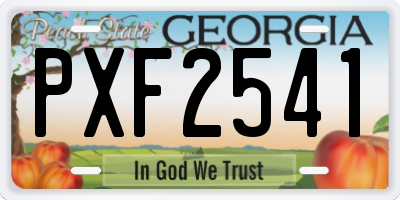 GA license plate PXF2541