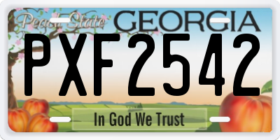 GA license plate PXF2542