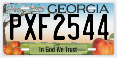 GA license plate PXF2544
