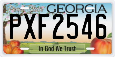 GA license plate PXF2546