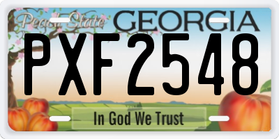 GA license plate PXF2548