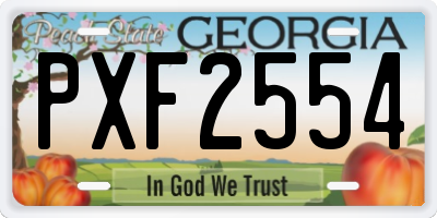 GA license plate PXF2554