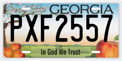 GA license plate PXF2557