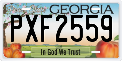 GA license plate PXF2559