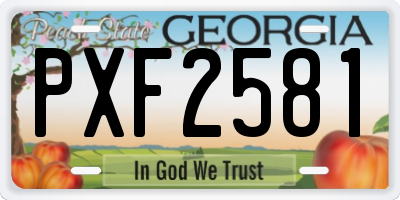 GA license plate PXF2581