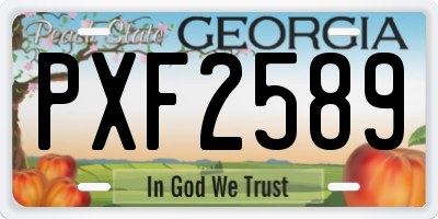 GA license plate PXF2589