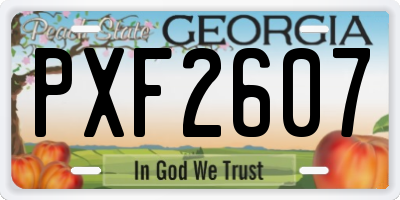 GA license plate PXF2607