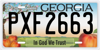 GA license plate PXF2663