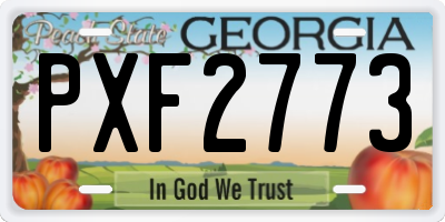GA license plate PXF2773