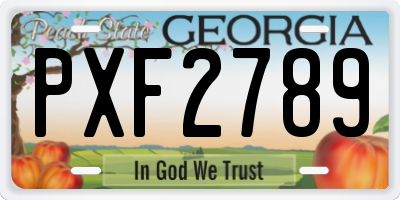 GA license plate PXF2789