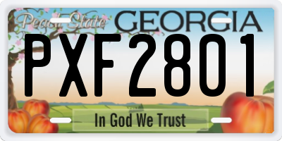 GA license plate PXF2801