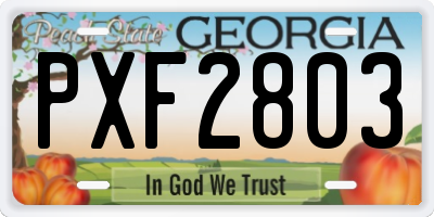 GA license plate PXF2803
