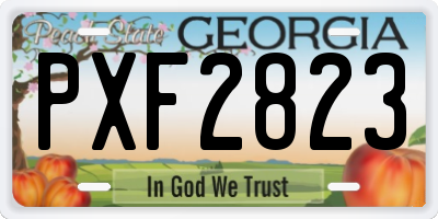 GA license plate PXF2823