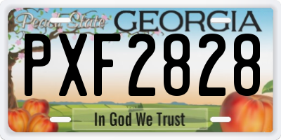 GA license plate PXF2828