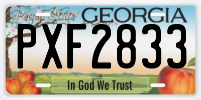 GA license plate PXF2833