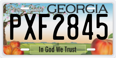 GA license plate PXF2845