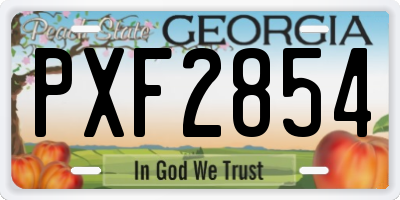 GA license plate PXF2854