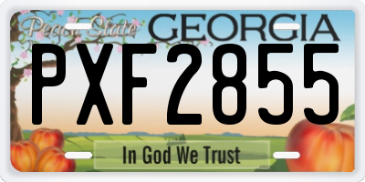 GA license plate PXF2855