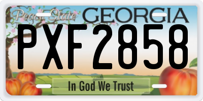 GA license plate PXF2858