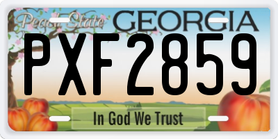 GA license plate PXF2859