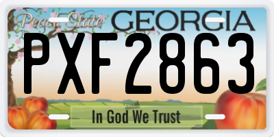 GA license plate PXF2863