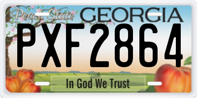 GA license plate PXF2864