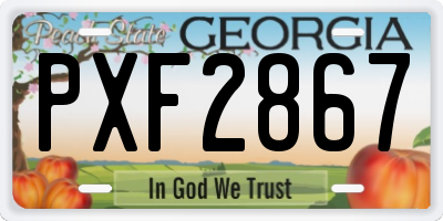 GA license plate PXF2867
