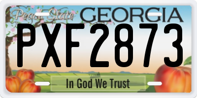 GA license plate PXF2873