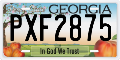 GA license plate PXF2875