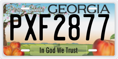 GA license plate PXF2877