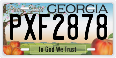 GA license plate PXF2878