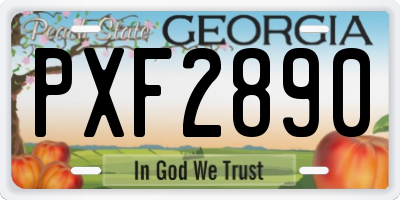 GA license plate PXF2890