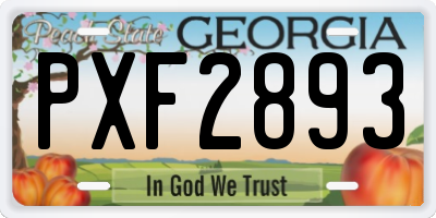 GA license plate PXF2893