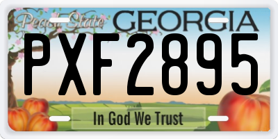 GA license plate PXF2895