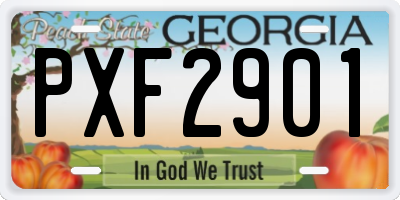 GA license plate PXF2901