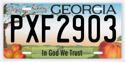 GA license plate PXF2903