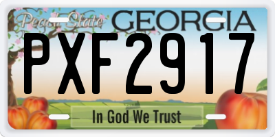 GA license plate PXF2917