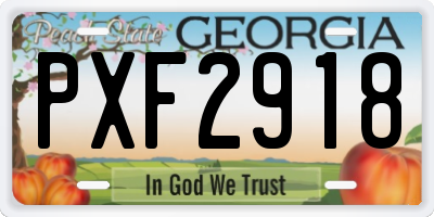 GA license plate PXF2918