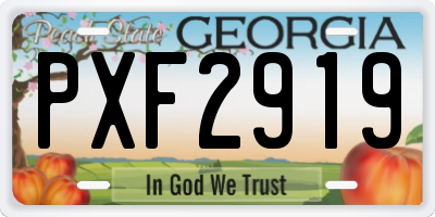 GA license plate PXF2919