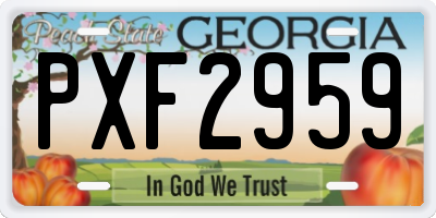 GA license plate PXF2959